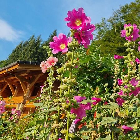 Chalet Arpitan - Les Carroz - Grand Massif ภายนอก รูปภาพ