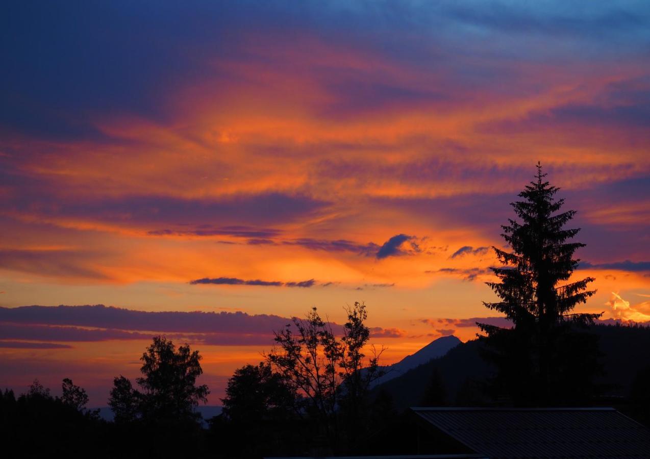 Chalet Arpitan - Les Carroz - Grand Massif ภายนอก รูปภาพ