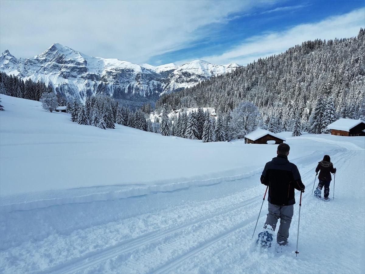 Chalet Arpitan - Les Carroz - Grand Massif ภายนอก รูปภาพ