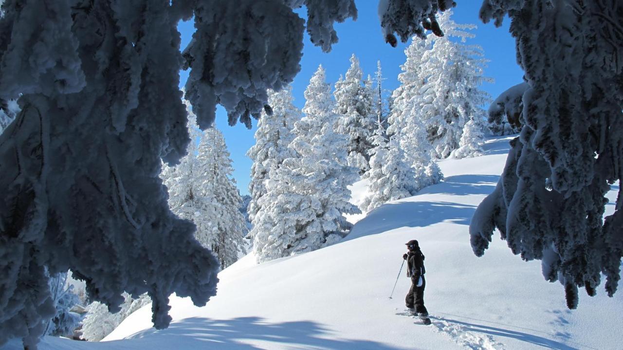 Chalet Arpitan - Les Carroz - Grand Massif ภายนอก รูปภาพ