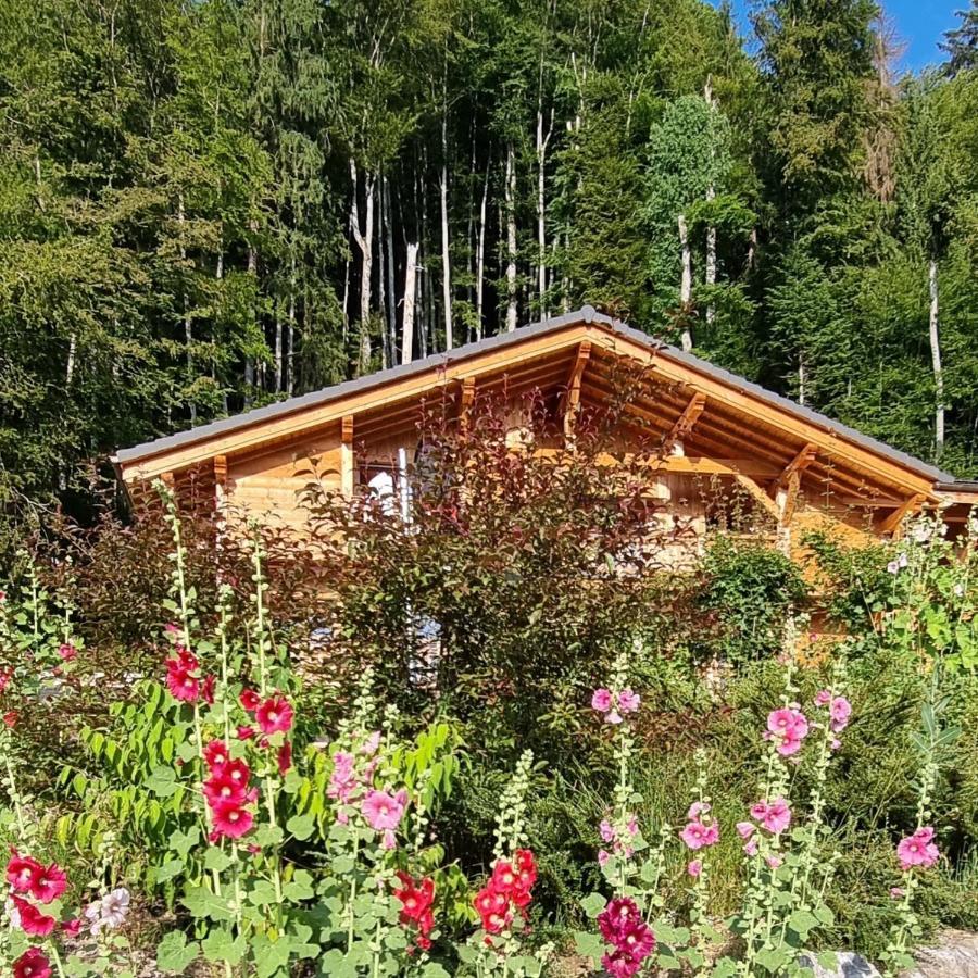 Chalet Arpitan - Les Carroz - Grand Massif ภายนอก รูปภาพ