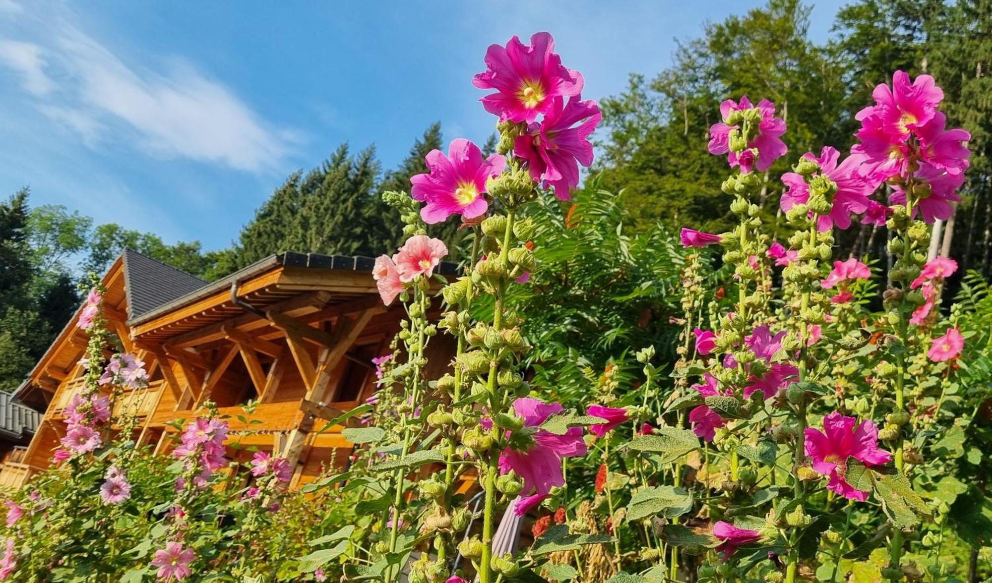 Chalet Arpitan - Les Carroz - Grand Massif ภายนอก รูปภาพ